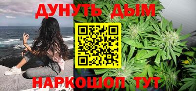 шишки Лесосибирск