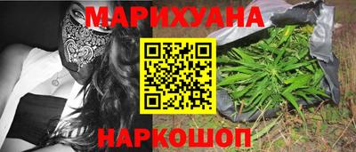 шишки Лесосибирск
