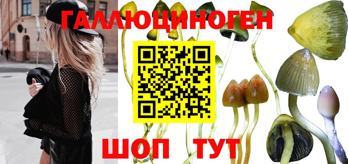 Галлюциногенные грибы мухоморы Татарск